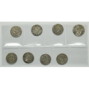 Set, Sigismund III Vasa, 3 Polker Bromberg (8 pcs.)