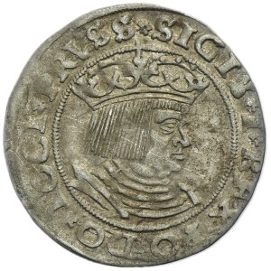 Sigismund I the Old, Groschen Thorn 1528 - PRVSS
