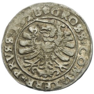 Sigismund I the Old, Groschen Thorn 1528 - PRVSS