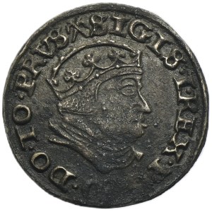 Sigismund I the Old, 3 Groschen Danzig 1540 - PRVS