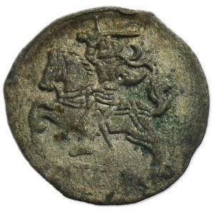 Sigismund II Augustus, Zweibeiner Vilnius 1566