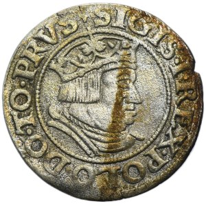 Sigismund I the Old, Groschen Danzig 1535 - PRVS