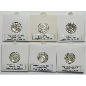 Set, Sigismund I the Old, Schilling and Halfgroschen Thorn and Vilnius (6 pcs.)