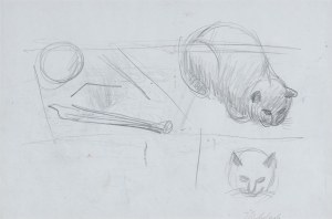 Jarosław Modzelewski, SZKIC DO OBRAZU „MARTWA NATURA Z KOTEM”, 2002