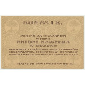 Krakow, Antoni Hawełka, 1 crown 1919 - RARE