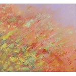 Julia Popławska, Macro Meadow, 2025