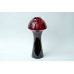 The largest glass vase , Fungi - HS Sudety - Zbigniew Horbowy