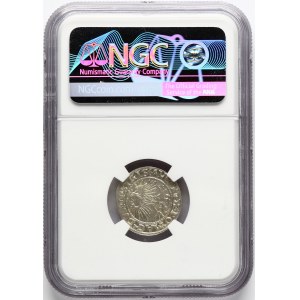 Lituania Polgrosz 1552 Vilnius (R1) NGC MS 63