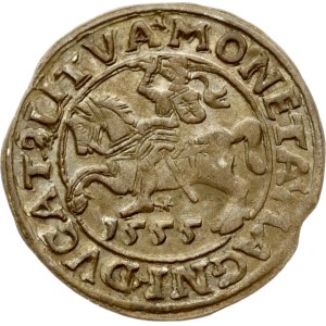 Litauen Polgrosz 1555 Vilnius (R1)