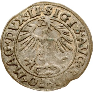 Litauen Polgrosz 1555 Vilnius (R1)