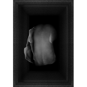 Joanna Janowska-Augustyn, Anatomie, Monady, 2017