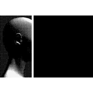Miroslaw Pawlowski, Camouflage - Code, 2024  
