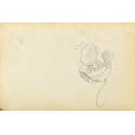 Emilia KNAUSÓWNA (1883-1924), Kůň zobrazený z boku