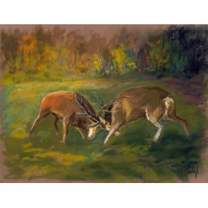 Tomasz MOTYL (b. 1950), Duel at the roar, 2025