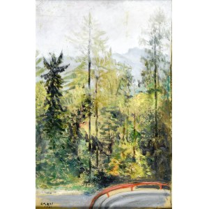 Irena WEISS - ANERI (1888-1981), Stromy - serpentinový pohled na silnici do Szczawnice, 1961