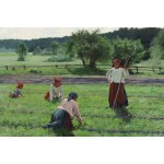 Zdzisław Jasiński (1863 Varšava - 1932 Varšava), Vidiecke ženy na poli, po roku 1893