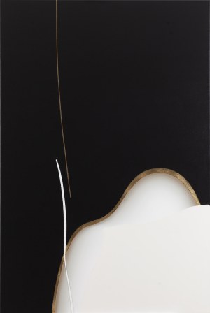 Julia Dunko (ur. 1991, Pińsk), 