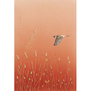 Katarzyna Wendland (née en 1979 à Szczecin), Sparrow, 2025