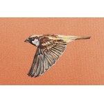 Katarzyna Wendland (née en 1979 à Szczecin), Sparrow, 2025