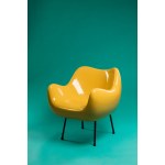 Roman Modzelewski, Armchair RM58, 1950s.