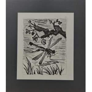 Pablo Picasso (1881-1973), Libellule (Libellula) da una serie di 31 incisioni su testi di Buffon, 1970
