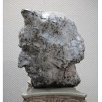 Justyna Kujawa ,Chopin's Head