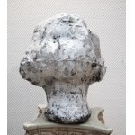 Justyna Kujawa ,Chopin's Head