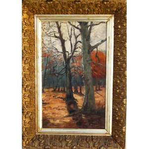 Artist Unrecognized,Park