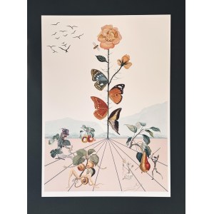 Salvador DALI (1904-1989) Flordali II, La Rose Papillon