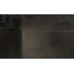 Stanislaw Baj, BUG RIVER, 2020