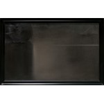 Stanislaw Baj, BUG RIVER, 2020