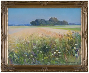 Wawrzyniec Chorembalski, LATO NA POLU, 1964