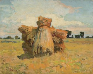 Iwan Trusz, SNOP SIANA, lata 1920-1930