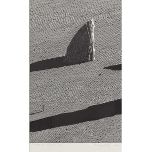 Karol Pomykała (b. 1985, Zamosc), Journey 5, 2024