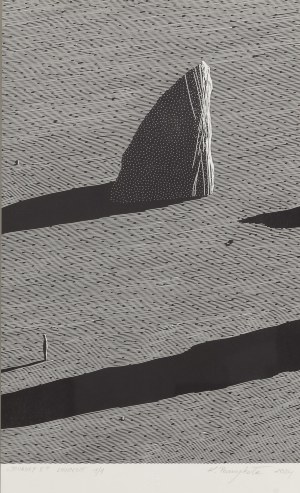 Karol Pomykała (ur. 1985, Zamość), 