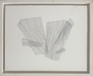 Anna Szprynger ( 1982 ),  b/t, 2011