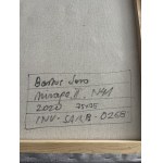 Bartos Sero, Mirage N41, 2020