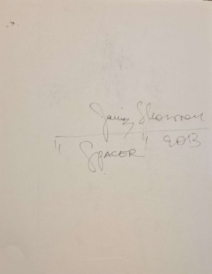 Janusz Skowron (ur. 1958), Spacer, 2013