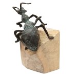 Rafal Cywinski, Ant