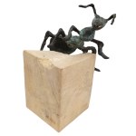 Rafal Cywinski, Ant