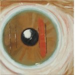 Grzegorz Sztwiertnia (ur. 1968 Cieszyn), Kłopoty ze wzrokiem, 2003