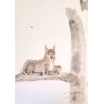 Jozef Wilkoń, Lynx, Illustration design for the book 