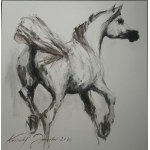 Krzysztof Jarocki, Arab