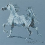 Krzysztof Jarocki, Arab