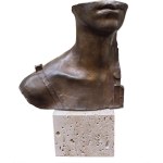 Igor Miotraj, Stella