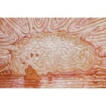 Franciszek Starowieyski (1930 Bratkówka near Krosno - 2009 Warsaw), Composition, 1991 (1691)