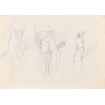 Franciszek Starowieyski (1930 Bratkówka near Krosno - 2009 Warsaw), Untitled