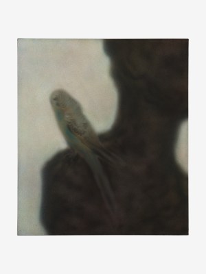 Veronika Hapchenko (ur. 1995), 