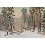 Konstanty Mackiewicz (1894 Maloryta near Brest - 1985 Lodz), Forest glade in the snow