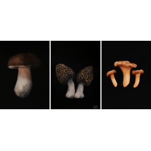 Klaudia Choma, Boletus, greaves and chanterelles, 2024